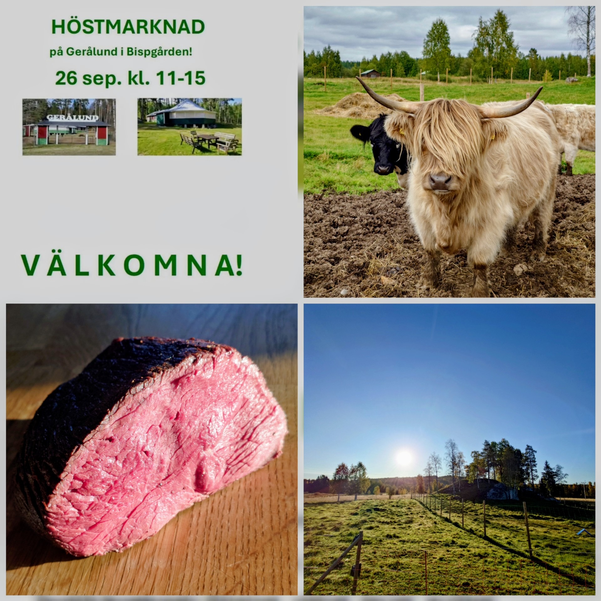 Oktober – vi har en del på gång!
